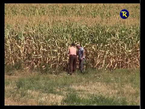 Naredne godine povećanje podsticaja poljoprivrednicima u Tuzlanskom kantonu