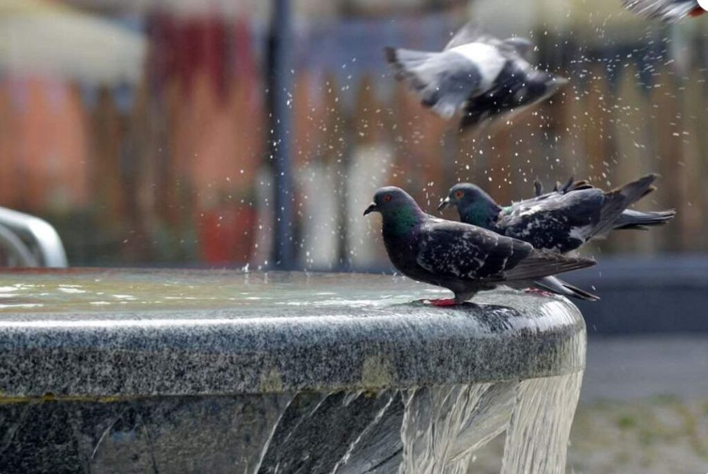 danas je u tuzli oboren temperaturni rekord za mjesec juni, prije njega zabiljezen je 25 juna 2009 godine danas je izmjereno 37,7 stepeni celzijusa