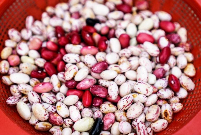 Uz proteine, grah je bogat vlaknima, željezom, kalijem, magnezijem i folnom kiselinom.