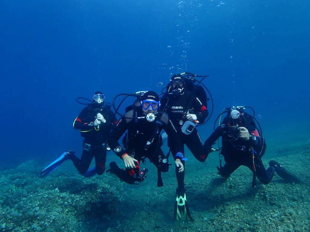 OLYMPUS DIGITAL CAMERA