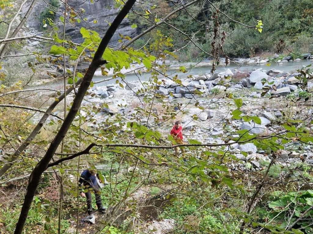 l_df83db86ec46da756195c6f025877501